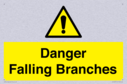 danger-falling-branches~